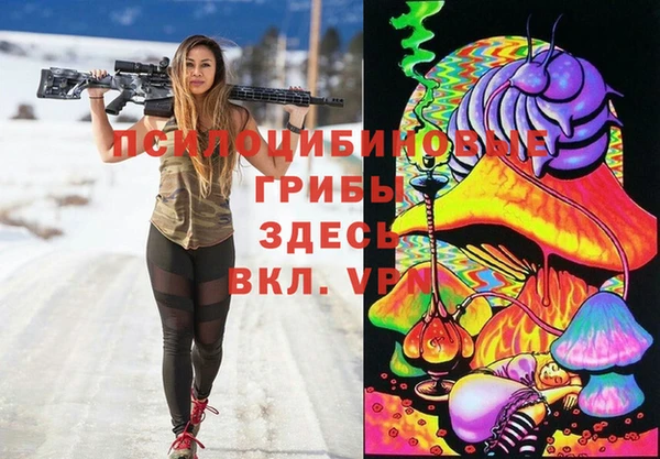PSILOCYBIN Инта