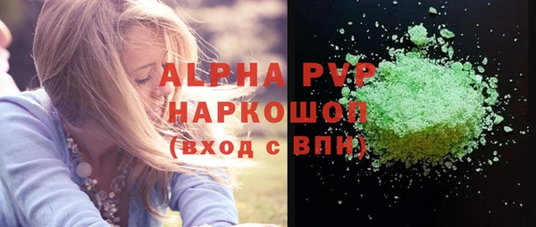 PSILOCYBIN Инта