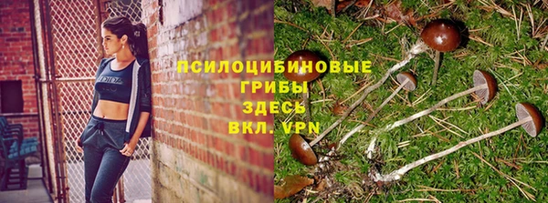 соль курить ск Зерноград