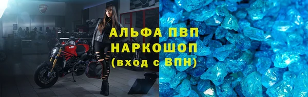 PSILOCYBIN Инта